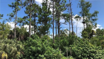 Naples Land Lot