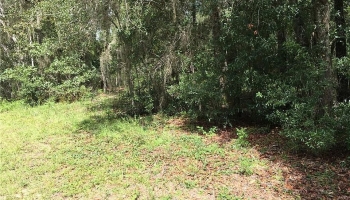 Dunellen Land Lot