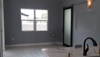 Livingroom Barn Door