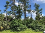 Naples Land Lot