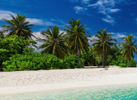 beach lot